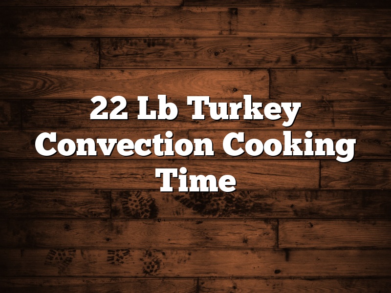 22 Lb Turkey Convection Cooking Time