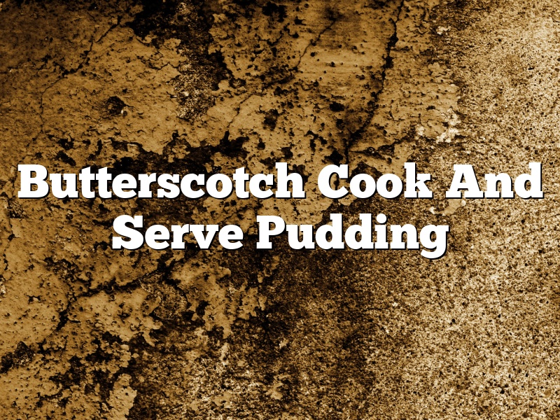 Butterscotch Cook And Serve Pudding