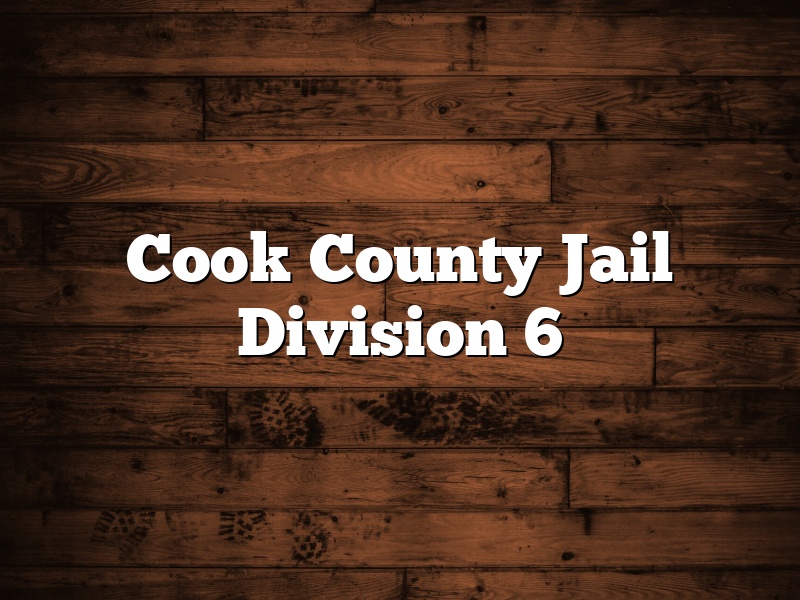 Cook County Jail Division 6