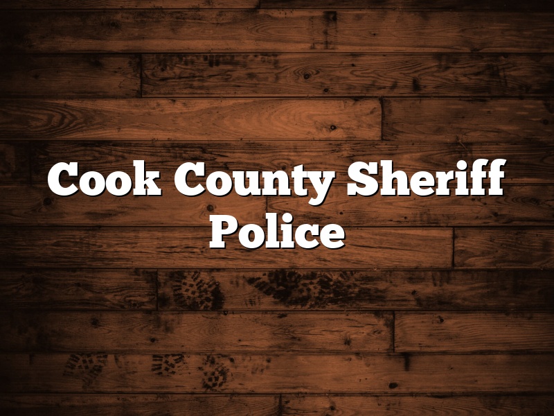 Cook County Sheriff Police