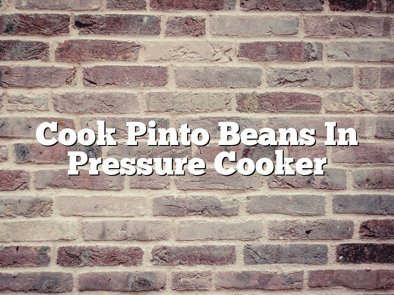 Cook Pinto Beans In Pressure Cooker