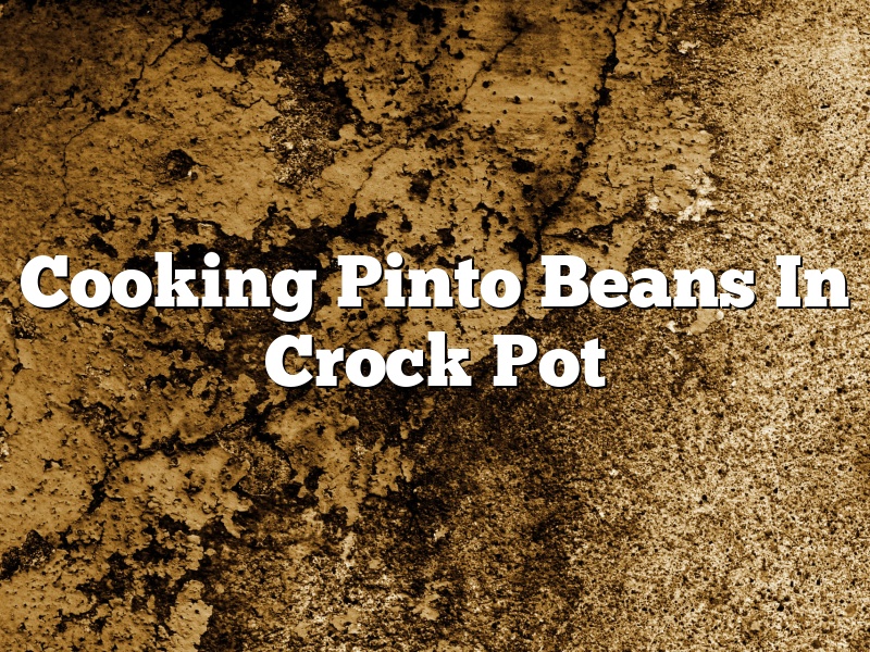 Cooking Pinto Beans In Crock Pot