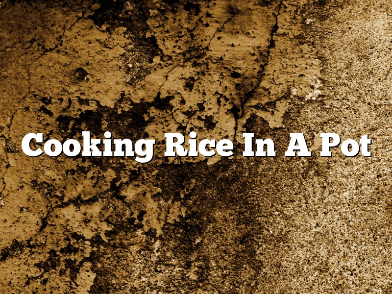 Cooking Rice In A Pot