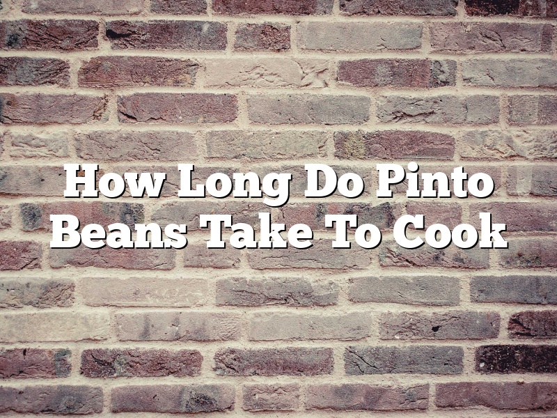 How Long Do Pinto Beans Take To Cook