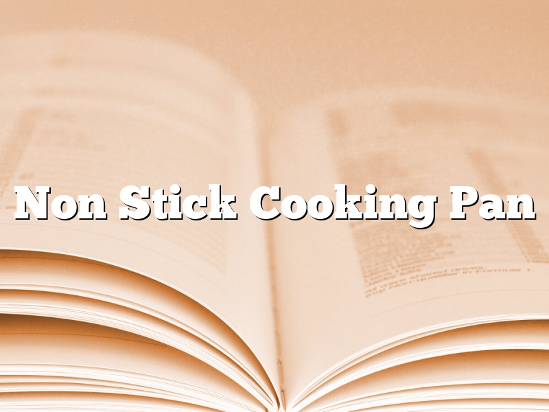 Non Stick Cooking Pan