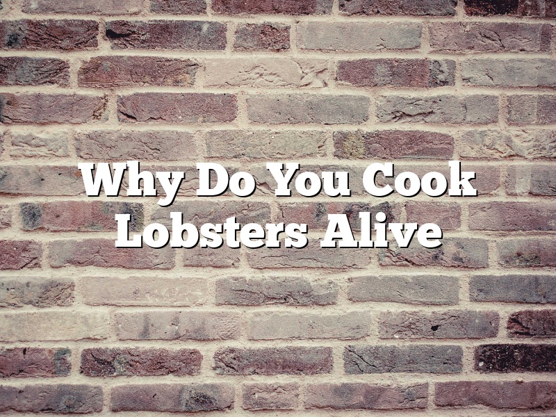 Why Do You Cook Lobsters Alive