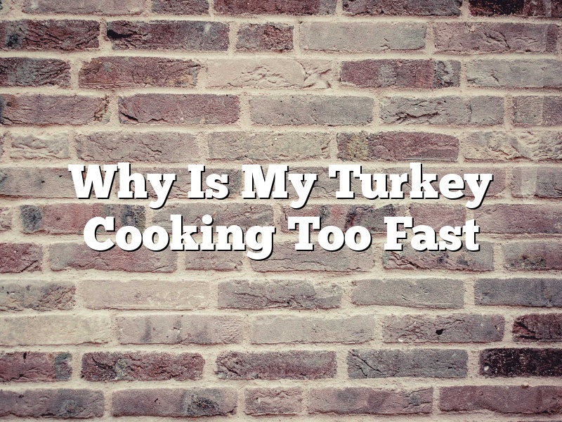 Why Is My Turkey Cooking Too Fast