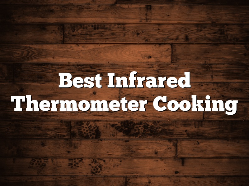 Best Infrared Thermometer Cooking