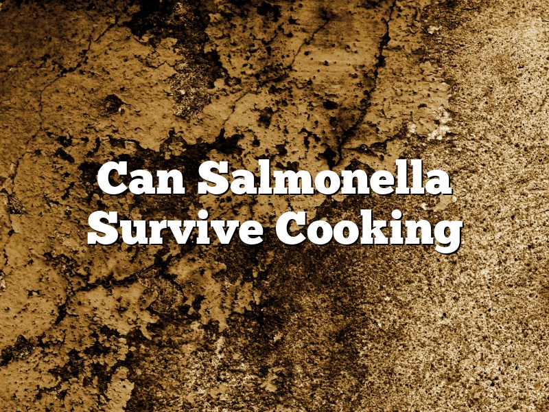 Can Salmonella Survive Cooking