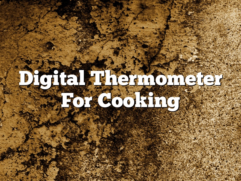 Digital Thermometer For Cooking