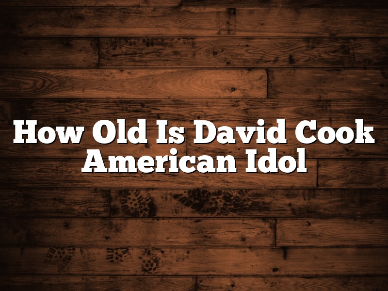 How Old Is David Cook American Idol