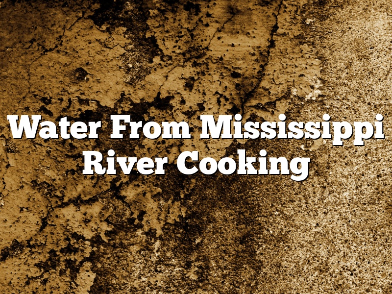 Water From Mississippi River Cooking